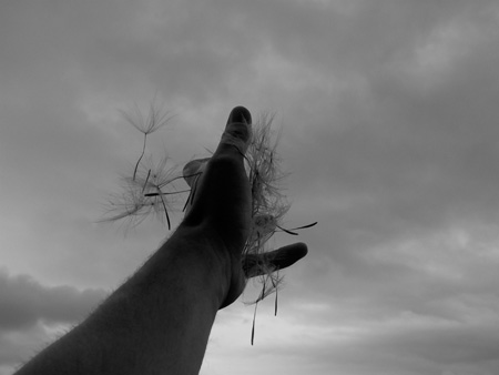 ee cummings / &, N  &: SEVEN POEMS, V / ... dead&rsquo;s sorry like a thistlefluff-thing which goes land-ing away all by himself on somebody&rsquo;s roof or some-thing where who-ever-heard-of-growing and nobody expects you to anyway ...